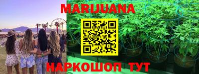 прущие крисы Нальчик