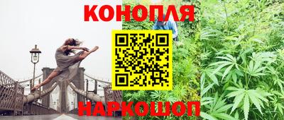прущие крисы Нальчик