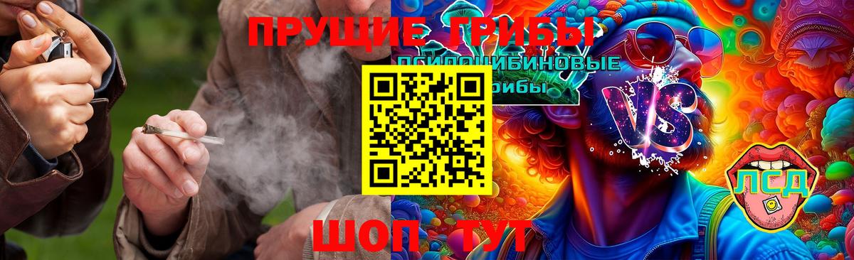 Тольятти  Галлюциногенные грибы Psilocybine cubensis  Вход с VPN  как найти закладки  Псилоцибиновые грибы мицелий 